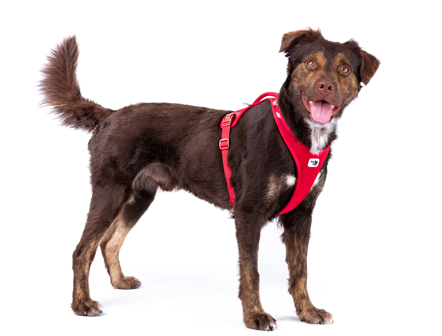 Curli All New Belka Comfort - Sam & Emma