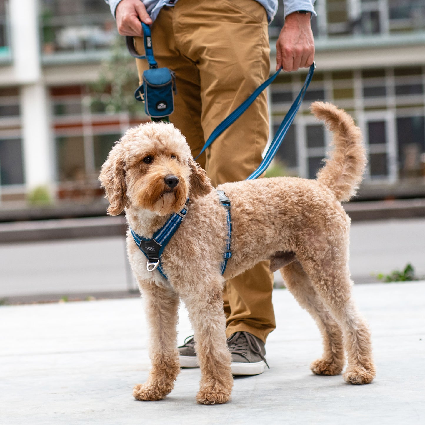 Dog Copenhagen V3 Comfort Walk Air Hundegeschirr - Sam & Emma