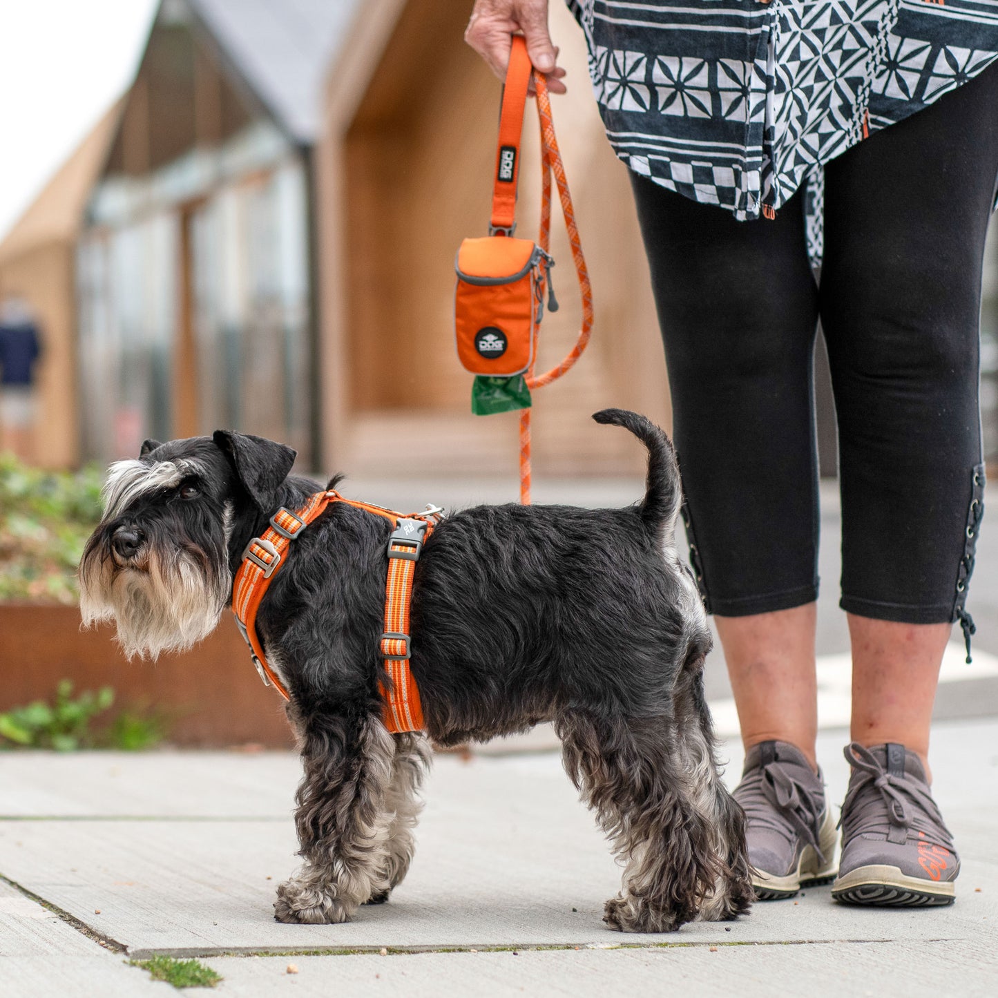 Dog Copenhagen V3 Comfort Walk Air Hundegeschirr - Sam & Emma