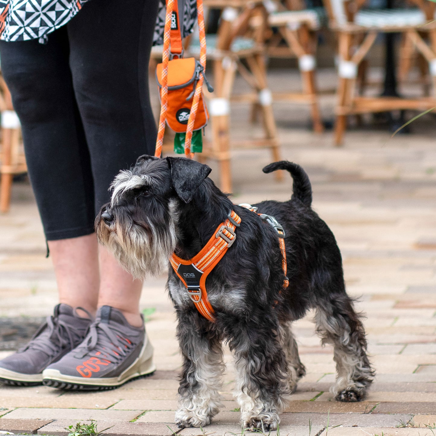 Dog Copenhagen V3 Comfort Walk Air Hundegeschirr - Sam & Emma