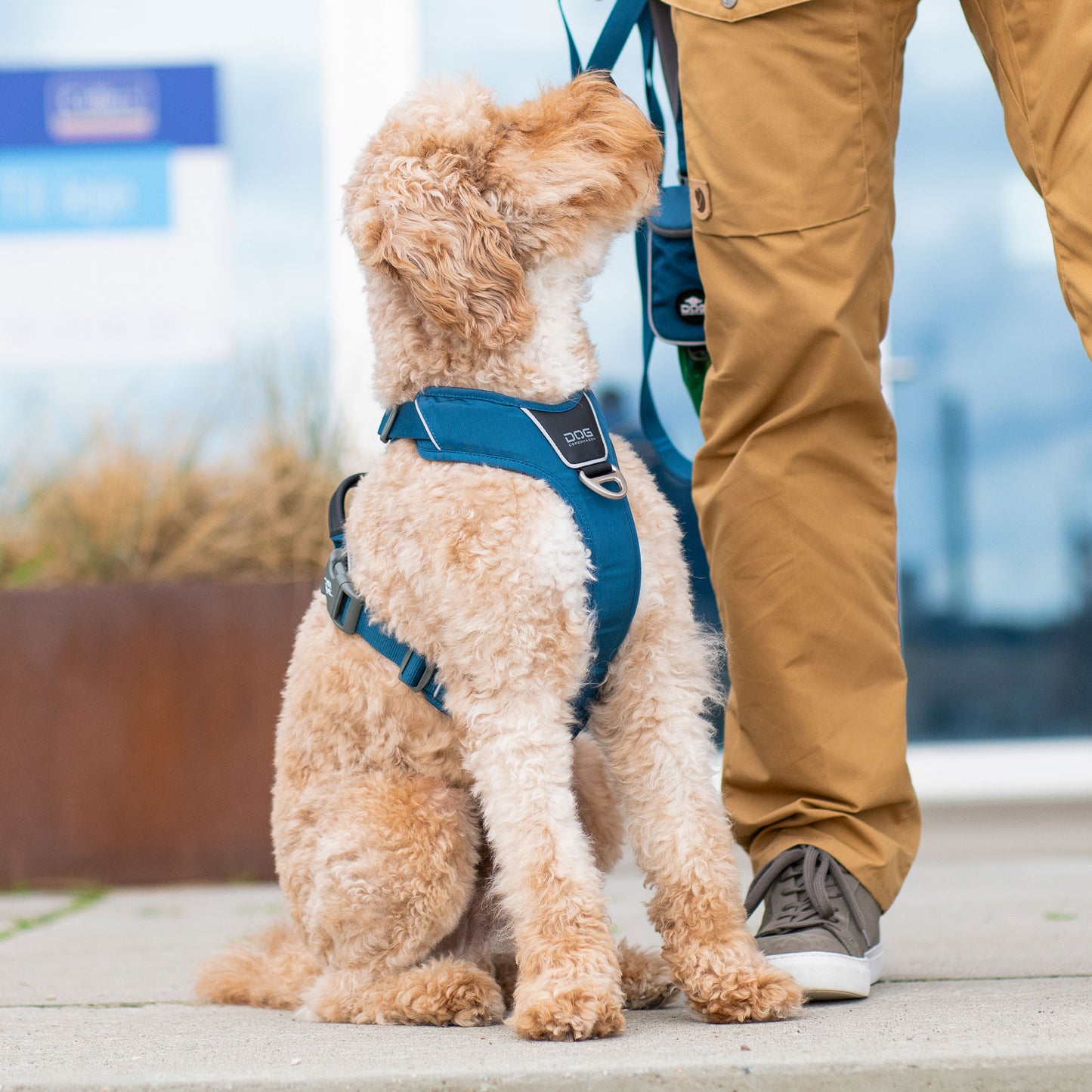 Dog Copenhagen V3 Comfort Walk Pro Hundegeschirr - Sam & Emma
