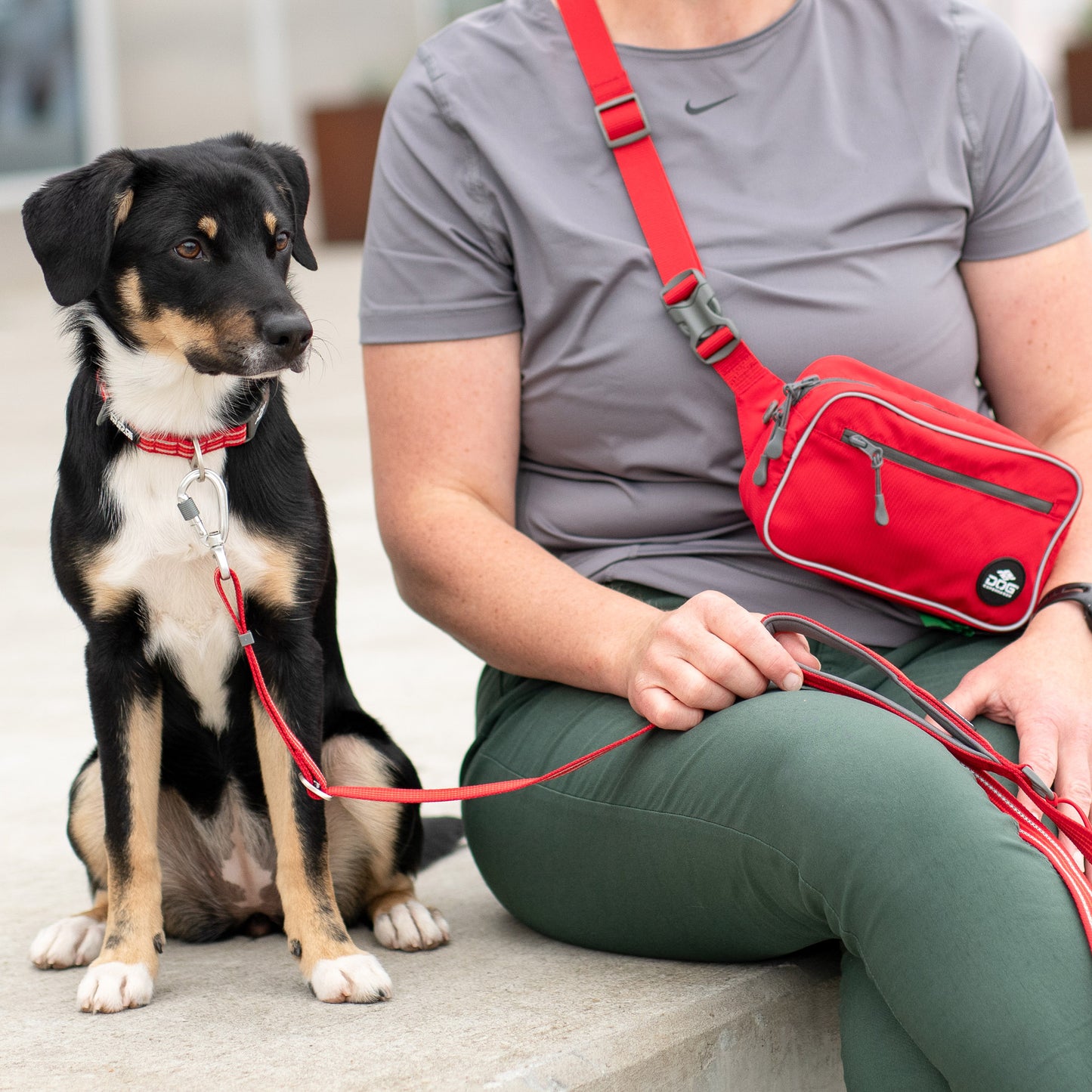 Dog Copenhagen Gürteltasche Go Explore - Sam & Emma