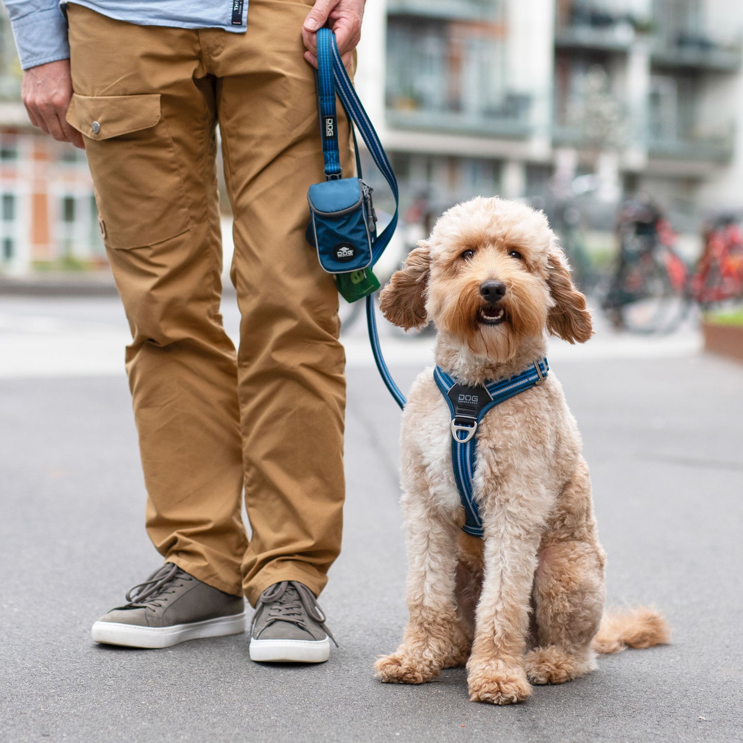 Dog Copenhagen Leash Bag Pouch Organizer - Sam & Emma