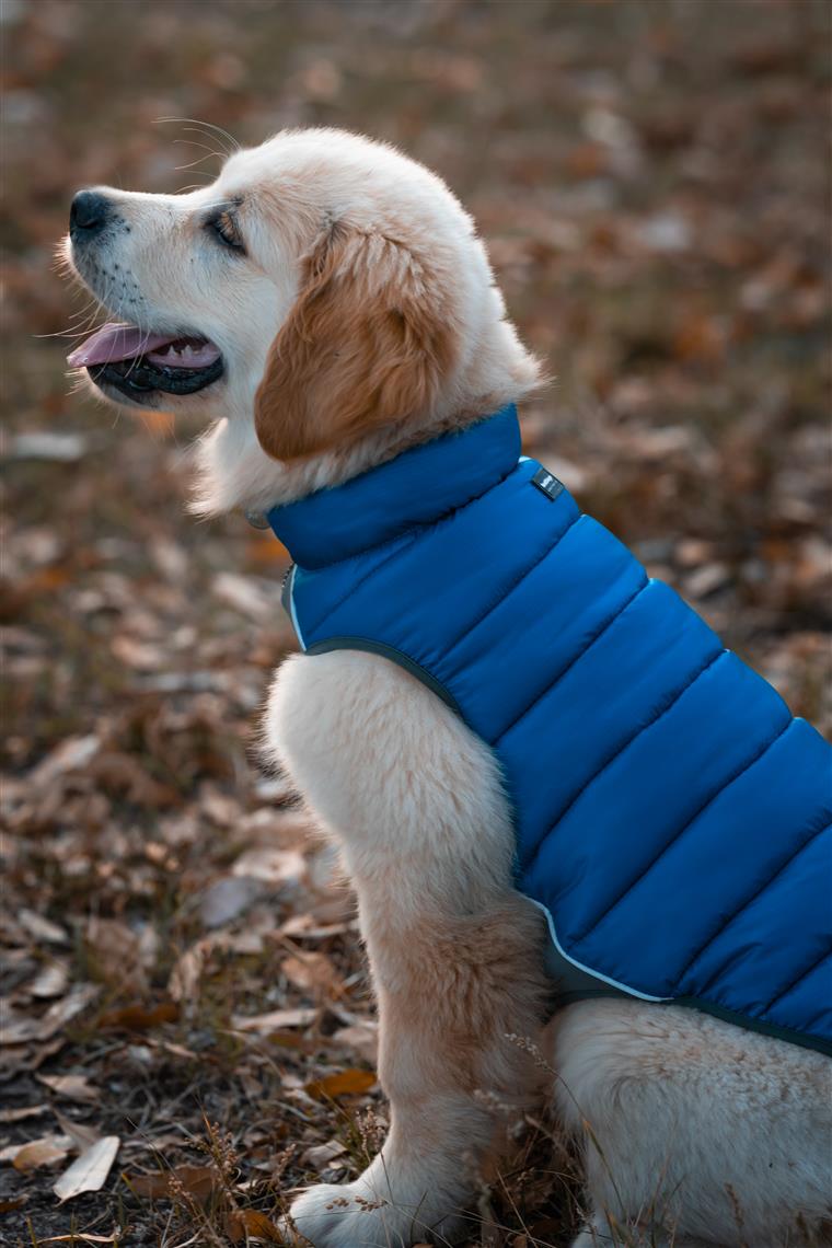 Red Dingo Puffer Jacket Jacke für Hunde - Sam & Emma