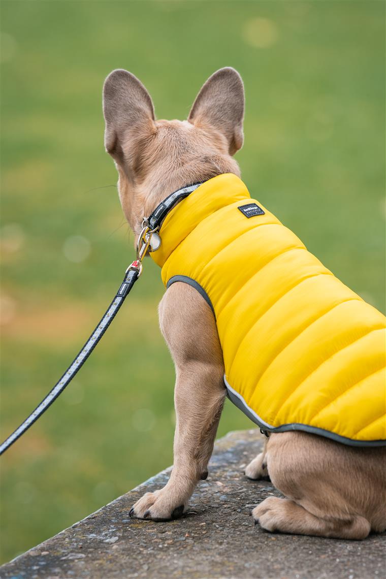 Red Dingo Puffer Jacket Jacke für Hunde - Sam & Emma