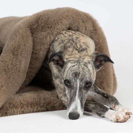 Woofstuff Kuschelschlafsack Fluffy, Taupe