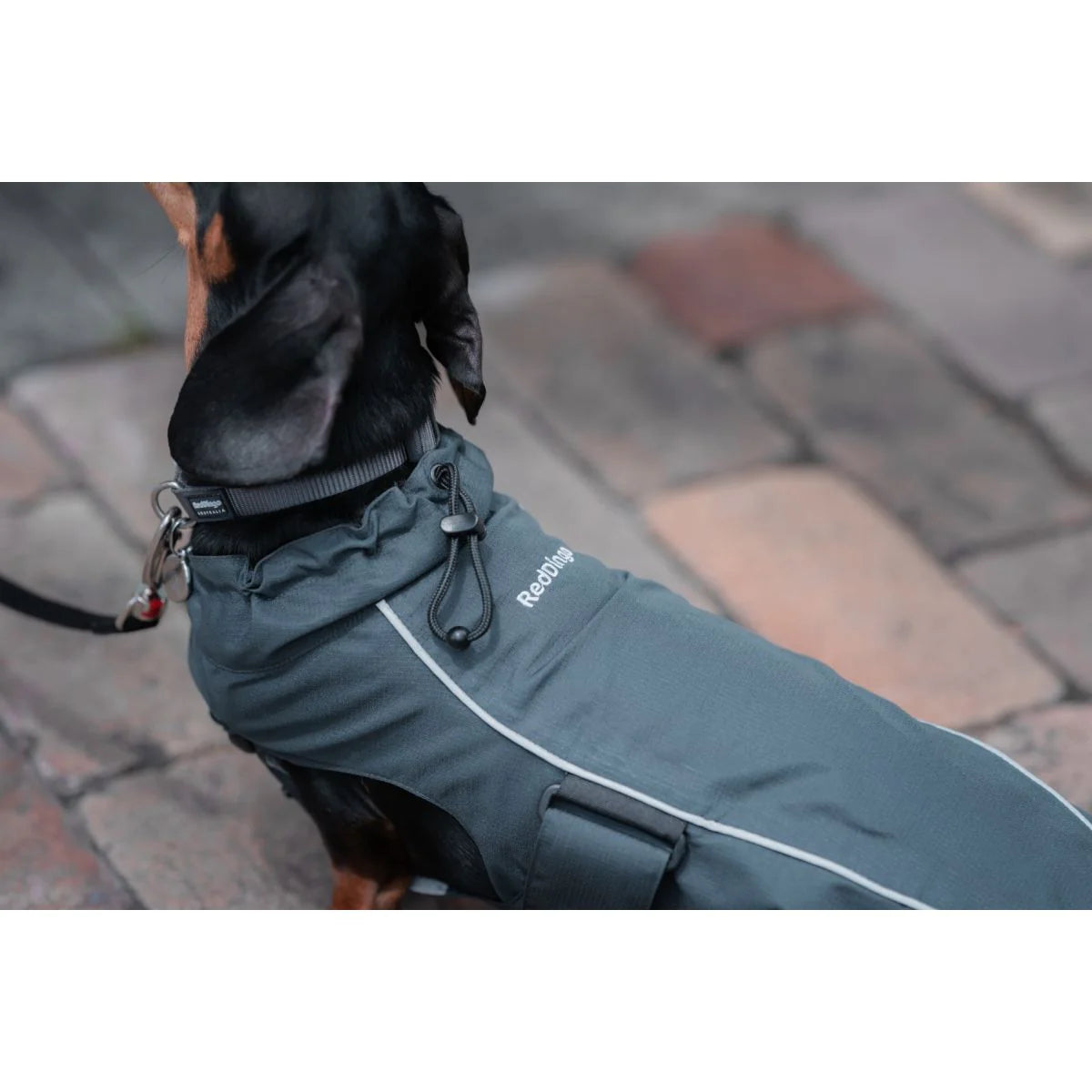Red Dingo Perfect fit Regenmantel für Hunde - Sam & Emma