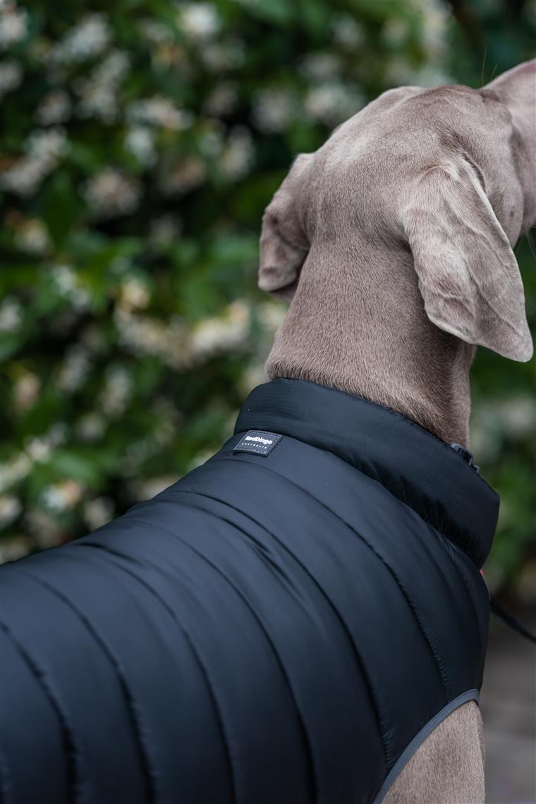 Red Dingo Puffer Jacket Jacke für Hunde - Sam & Emma