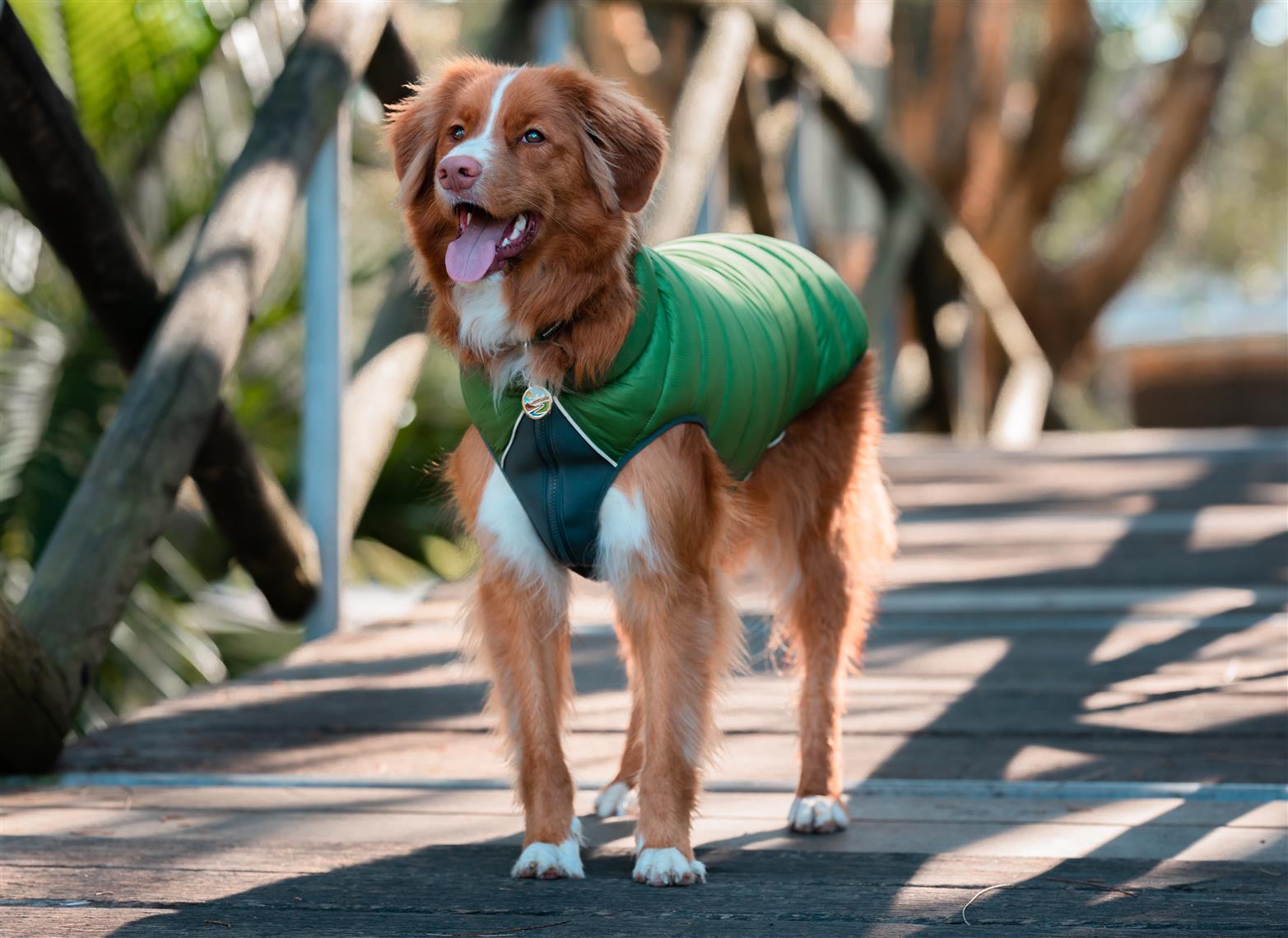 Red Dingo Puffer Jacket Jacke für Hunde - Sam & Emma