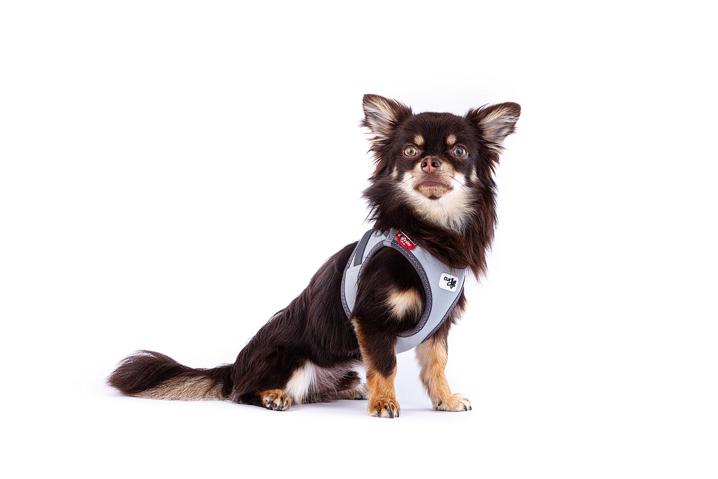 Curli Glow curli Clasp Vest Harness Reflective Gray