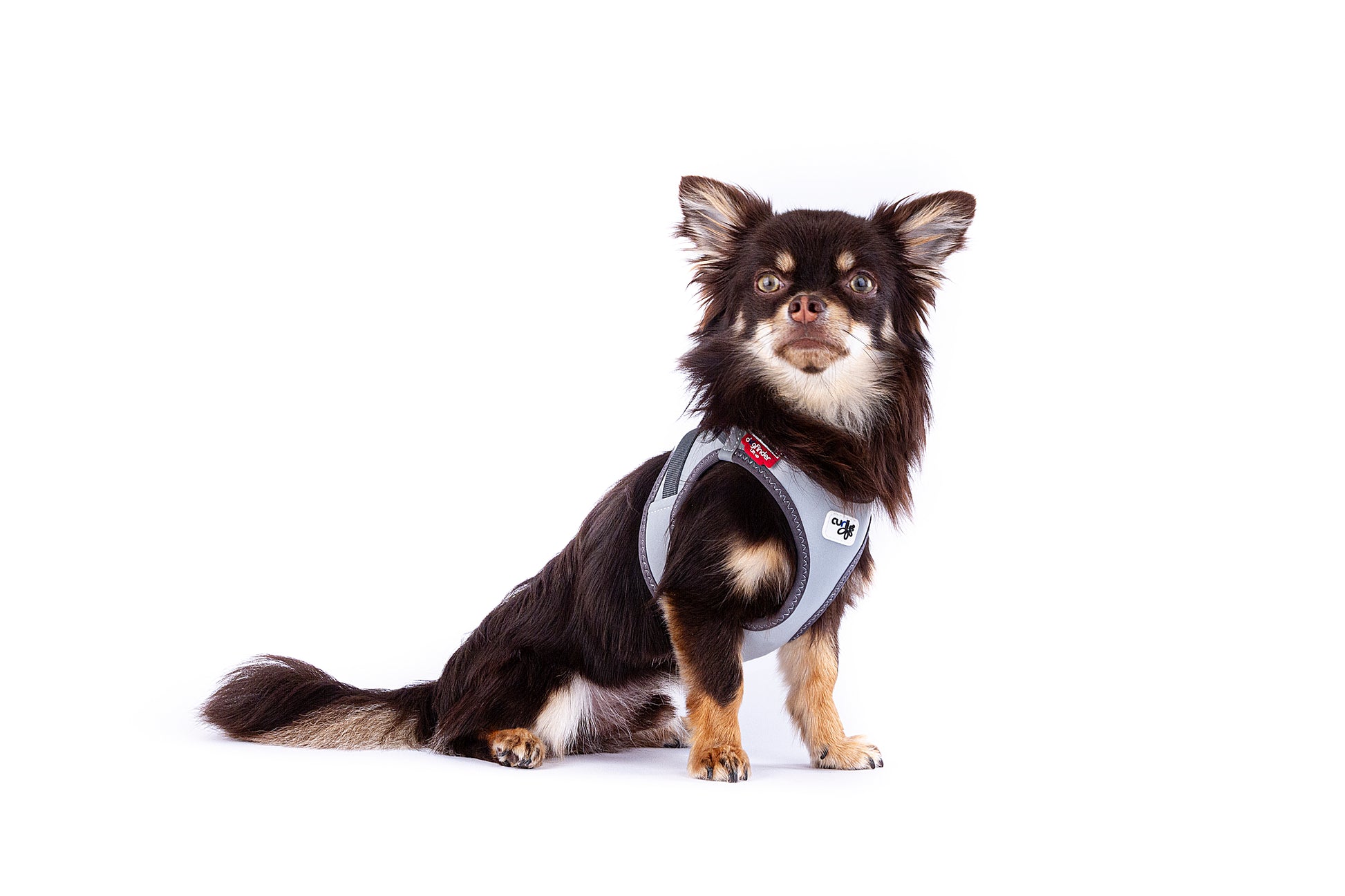 Curli Glow curli Clasp Vest Harness Reflective Gray