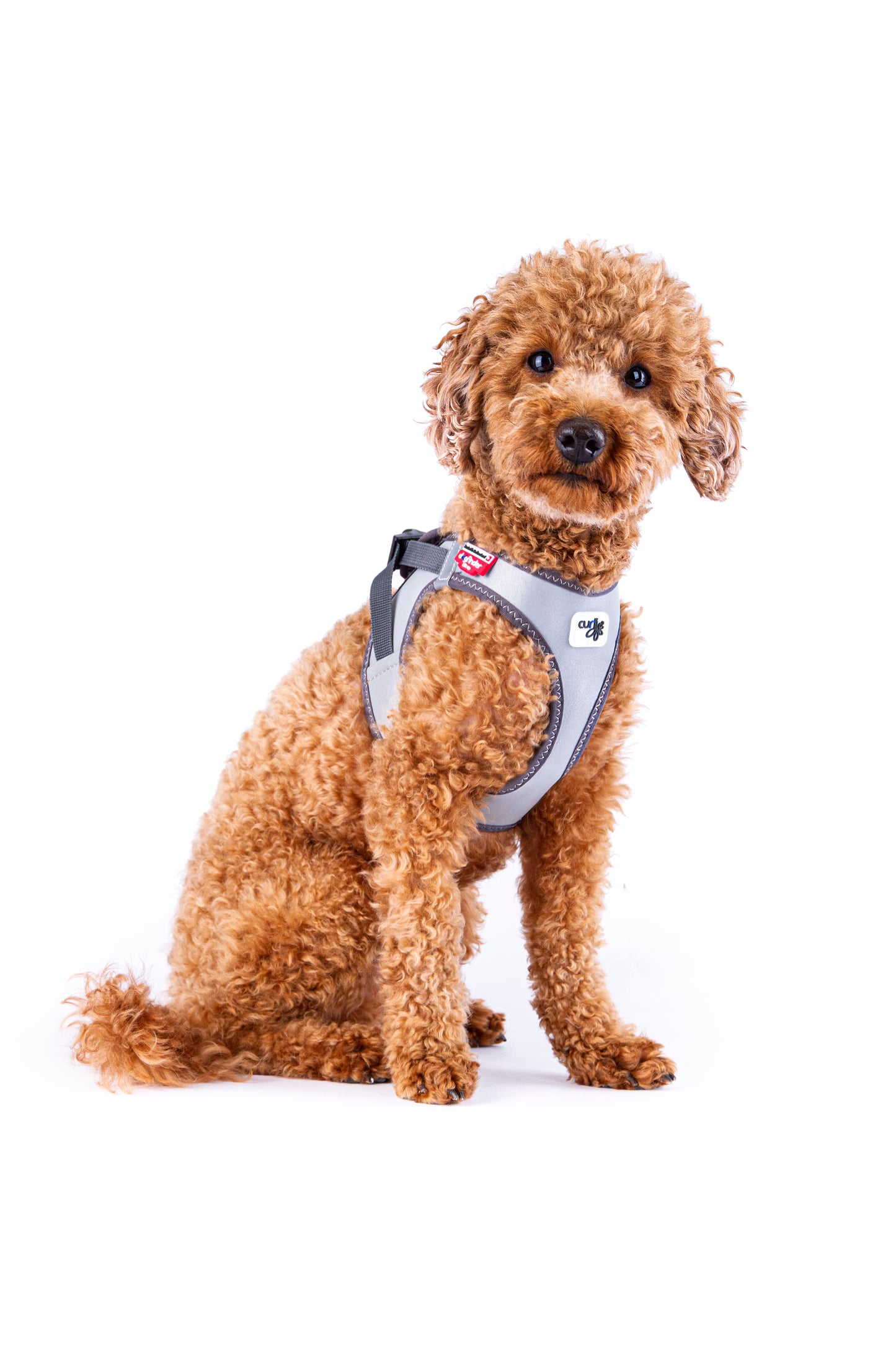 Curli Glow curli Clasp Vest Harness Reflective Gray