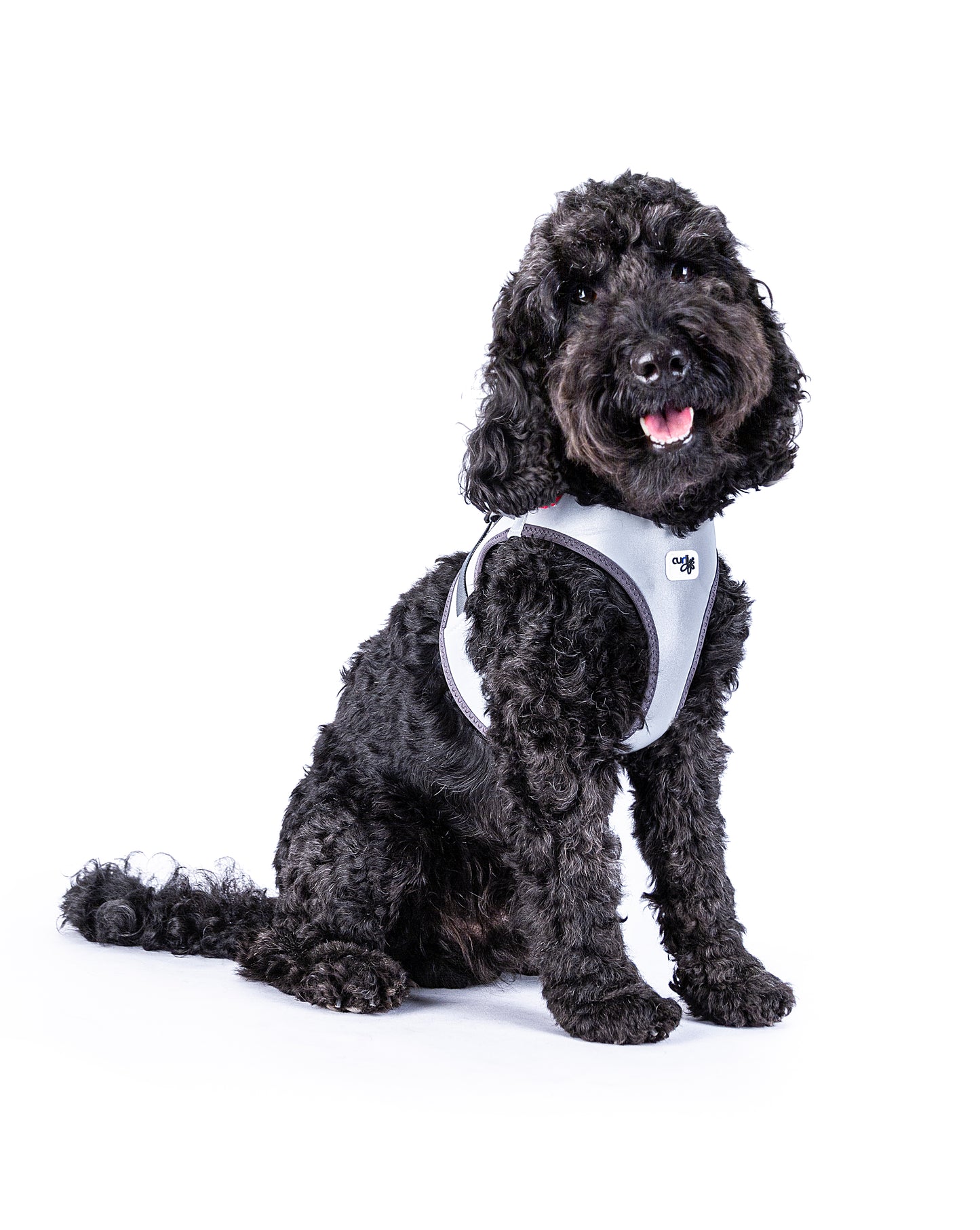 Curli Glow curli Clasp Vest Harness Reflective Gray