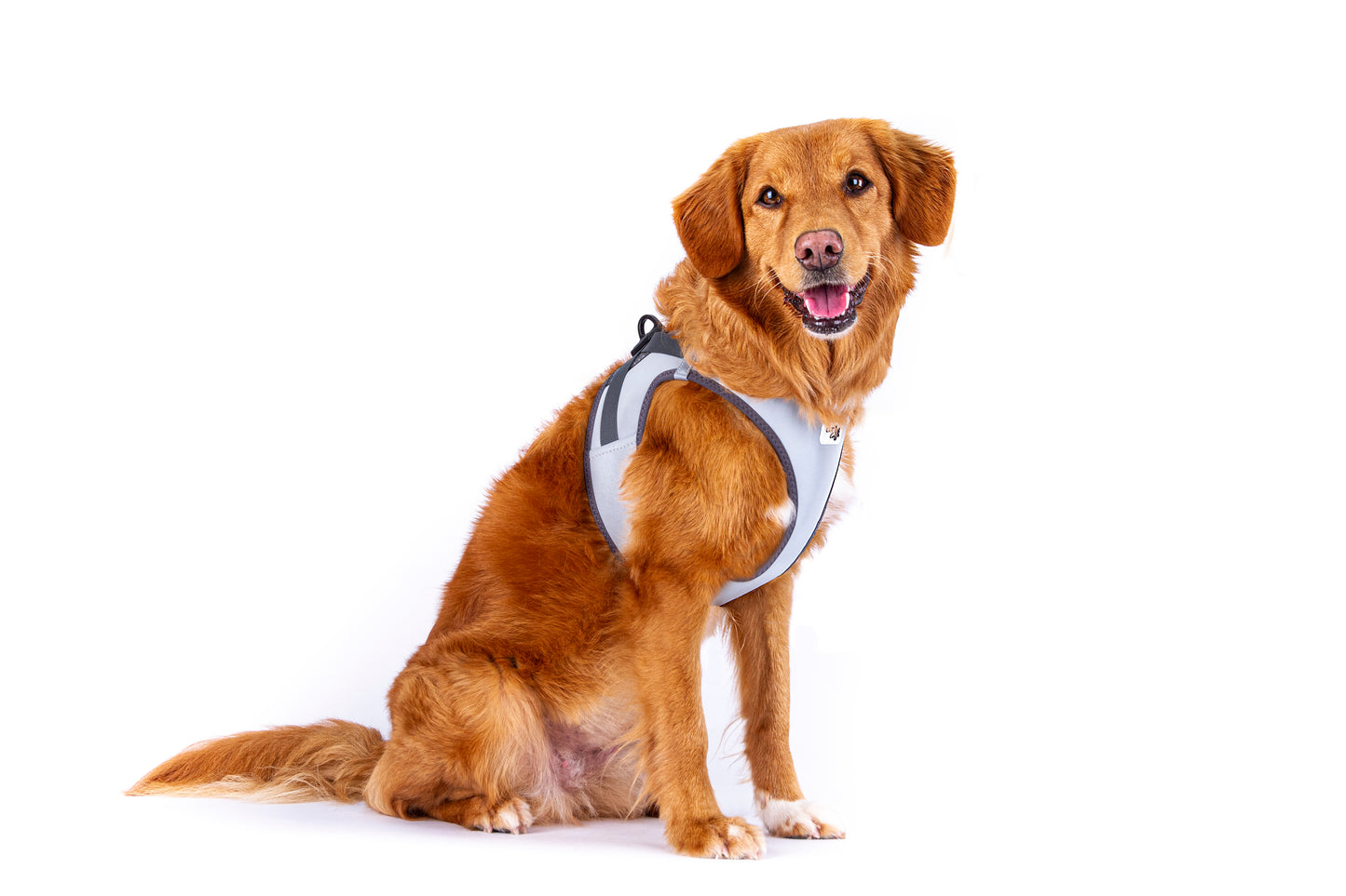 Curli Glow curli Clasp Vest Harness Reflective Gray