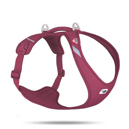 Curli All New Belka Comfort - Sam & Emma