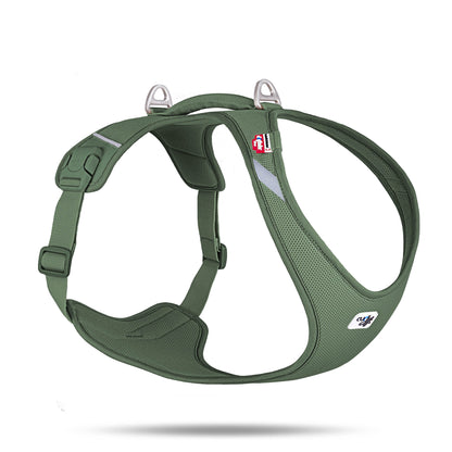 Curli All New Belka Comfort - Sam & Emma