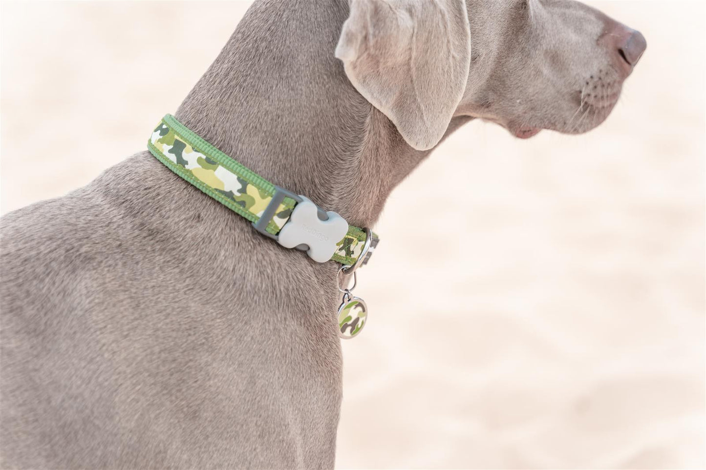 Red Dingo Red Dingo Hundehalsband Design