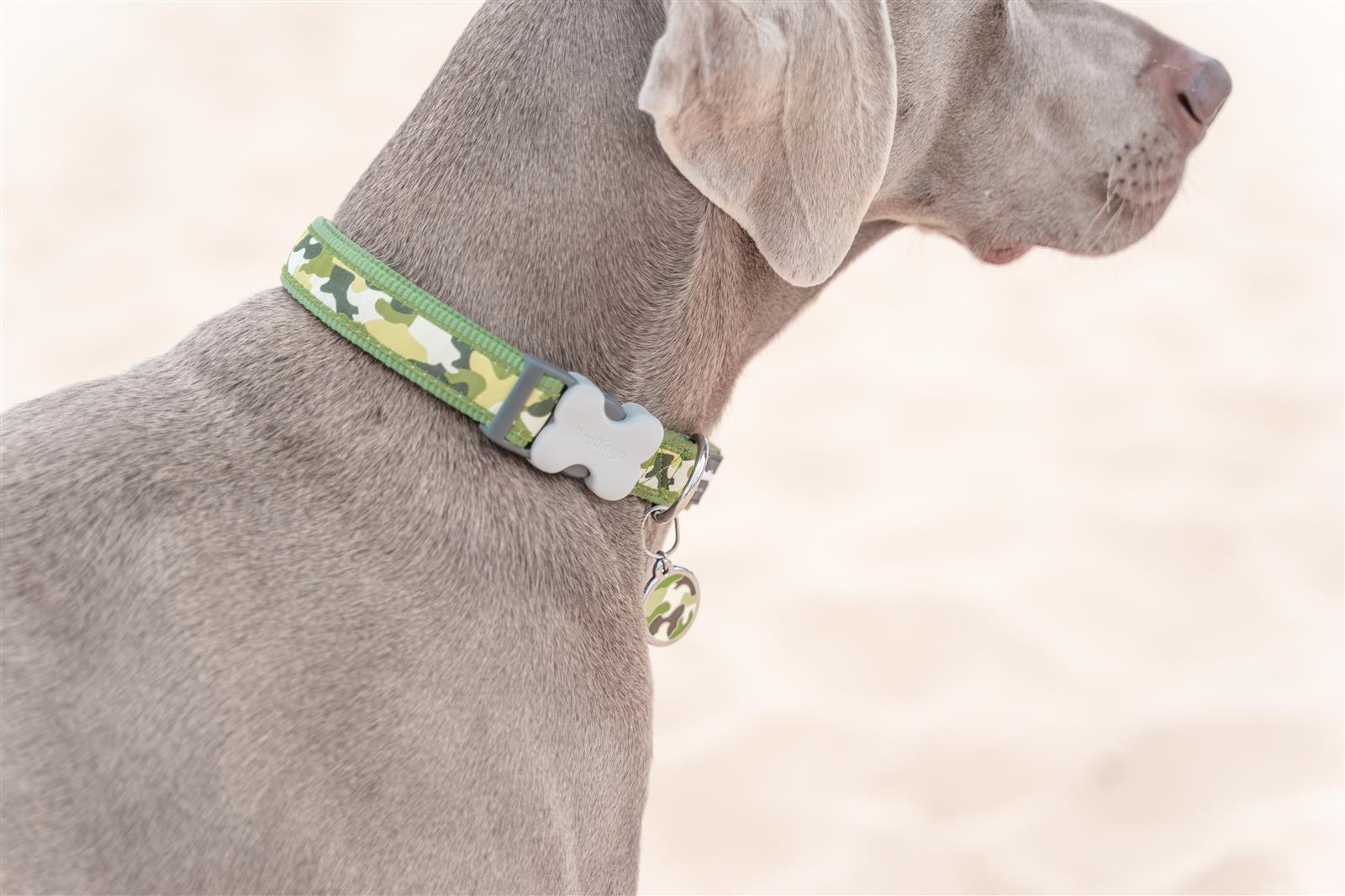 Red Dingo Red Dingo Hundehalsband Design