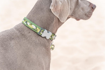 Red Dingo Red Dingo Hundehalsband Design