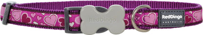 Red Dingo Red Dingo Hundehalsband Design