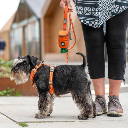 Dog Copenhagen V3 Comfort Walk Air Hundegeschirr - Sam & Emma