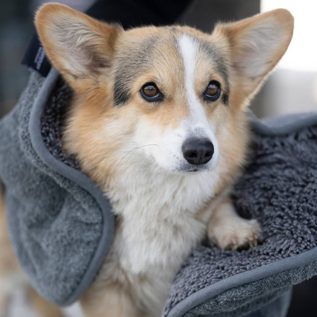 Woofstuff Hunde-Handtuch Ultra Dry Comfort, Graphit