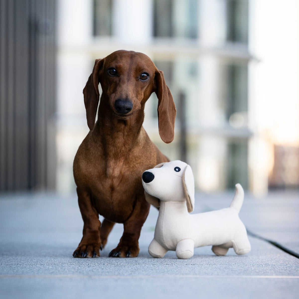 Woofstuff Hundespielzeug Dackel Pepe, Beige