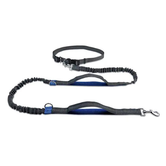 Little Guy Pet Supplies Elastische Joggingleine mit Komfortgriff