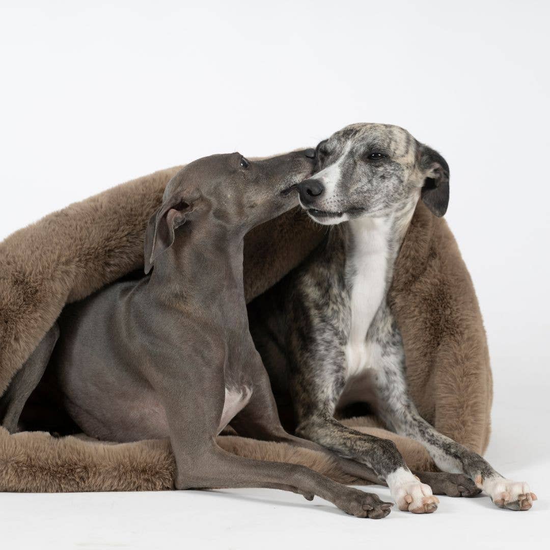 Woofstuff Kuschelschlafsack Fluffy, Taupe