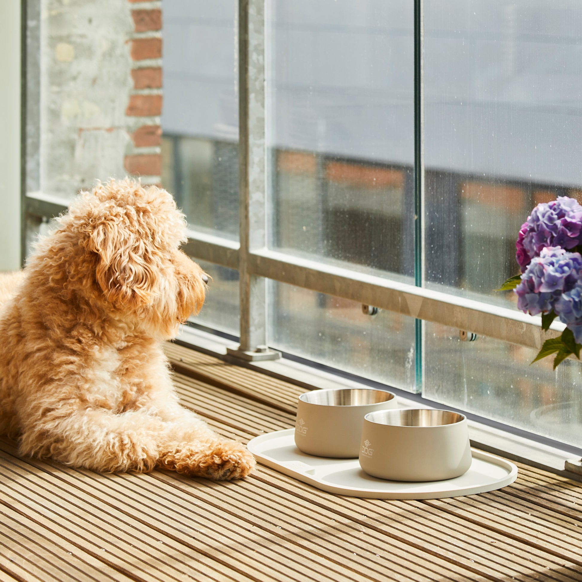 Dog Copenhagen Dog Copenhagen Libra Placemat Napfunterlage