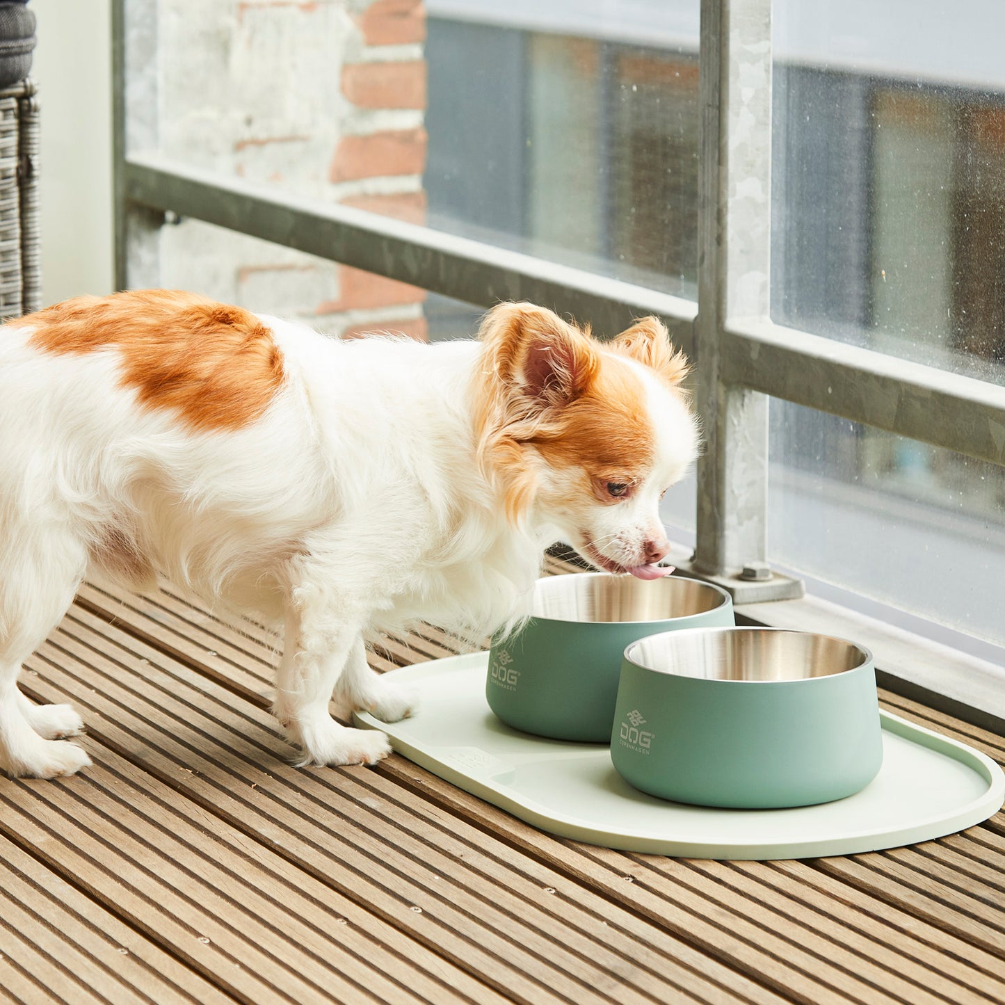 Dog Copenhagen Dog Copenhagen Libra Placemat Napfunterlage
