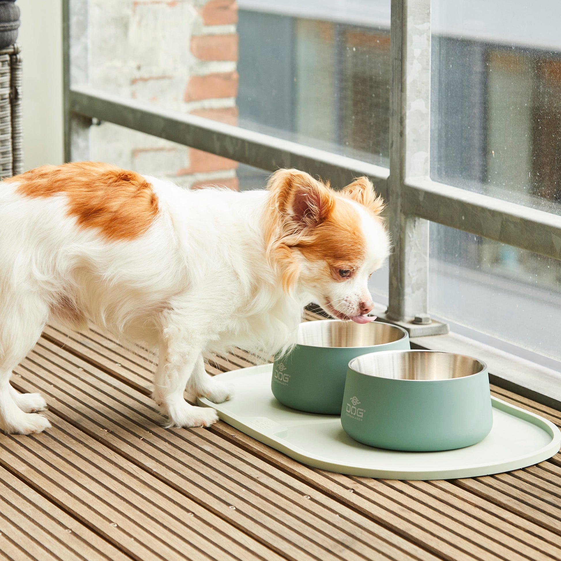 Dog Copenhagen Dog Copenhagen Libra Placemat Napfunterlage
