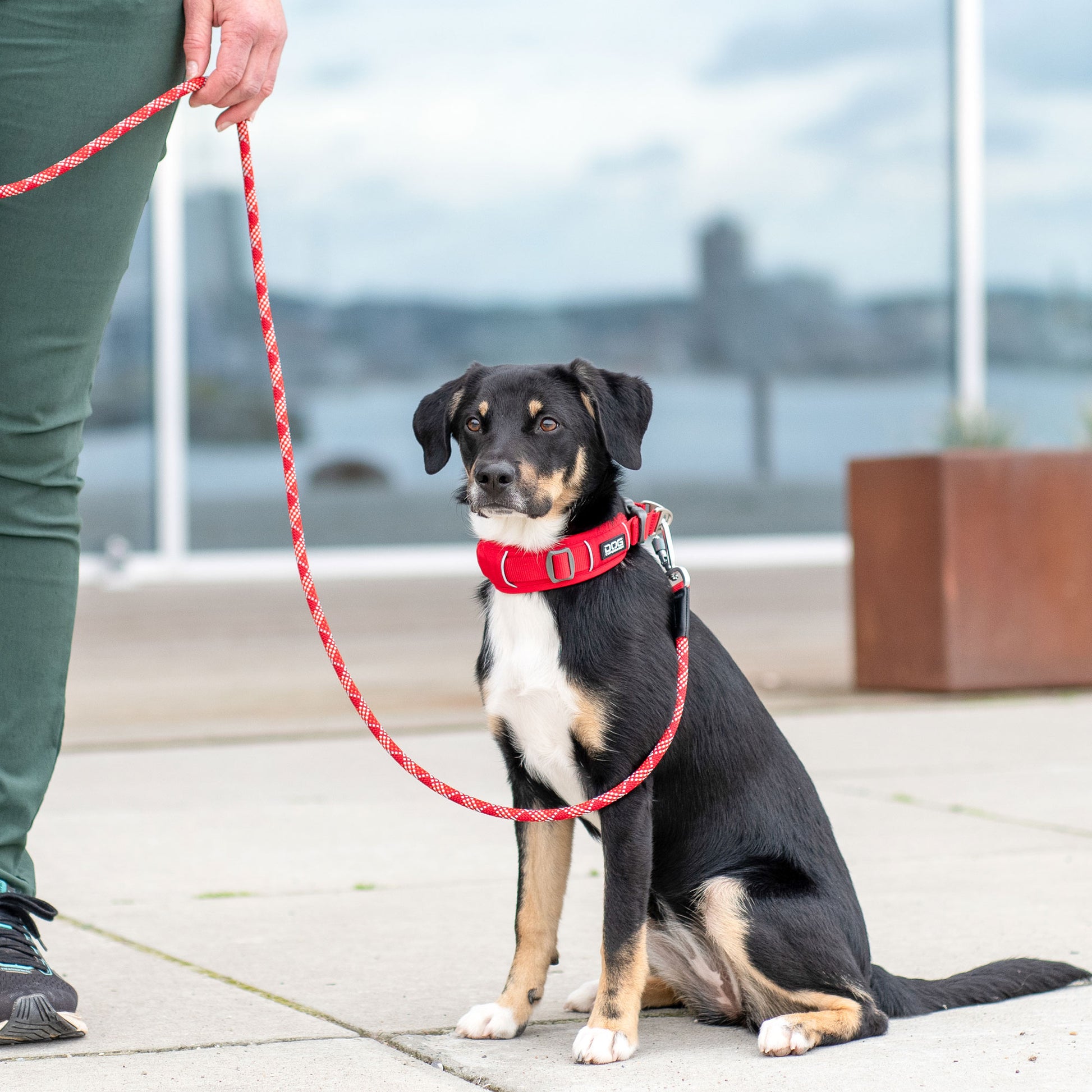 Dog Copenhagen Dog Copenhagen V3 Explorer Halsband