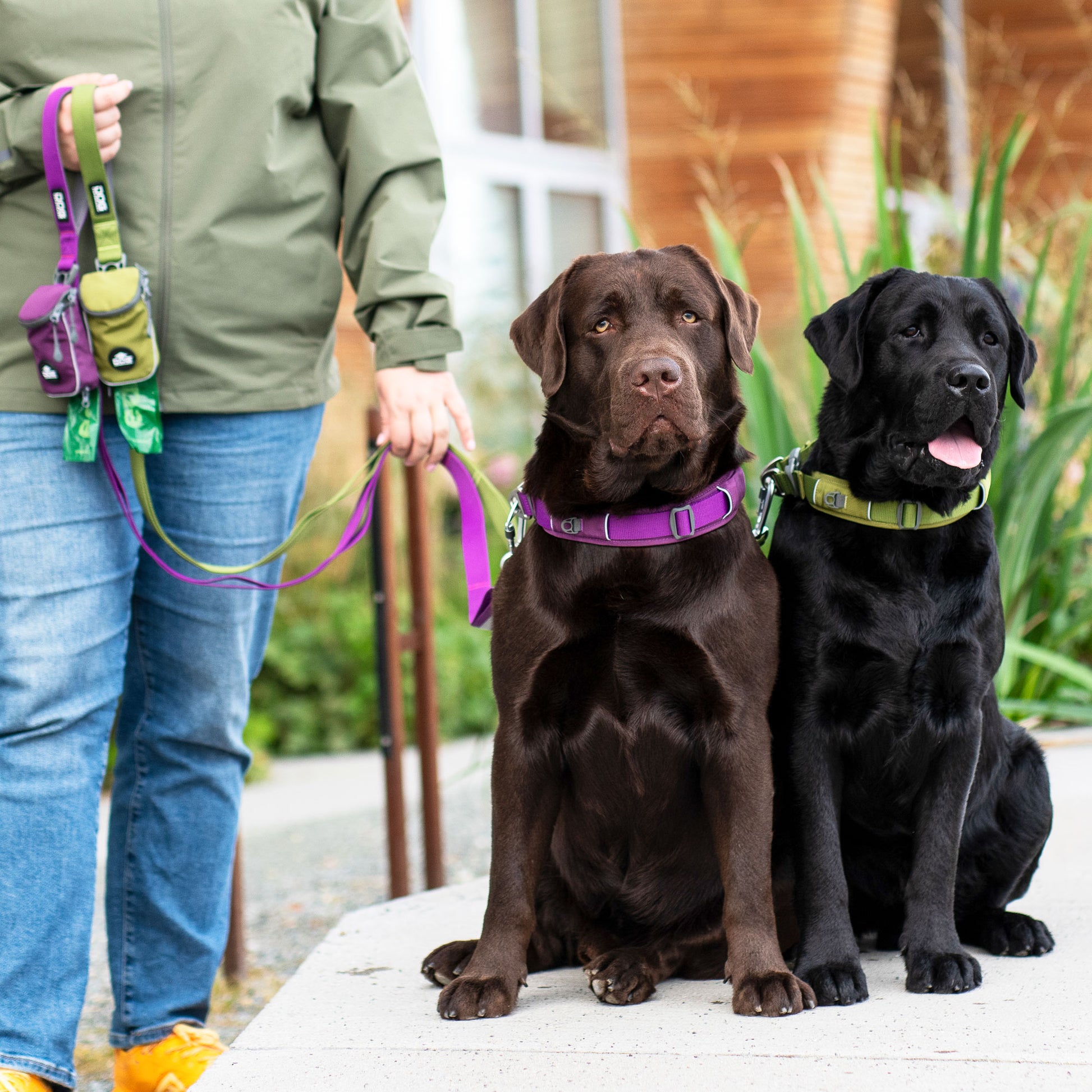 Dog Copenhagen Dog Copenhagen V3 Explorer Halsband