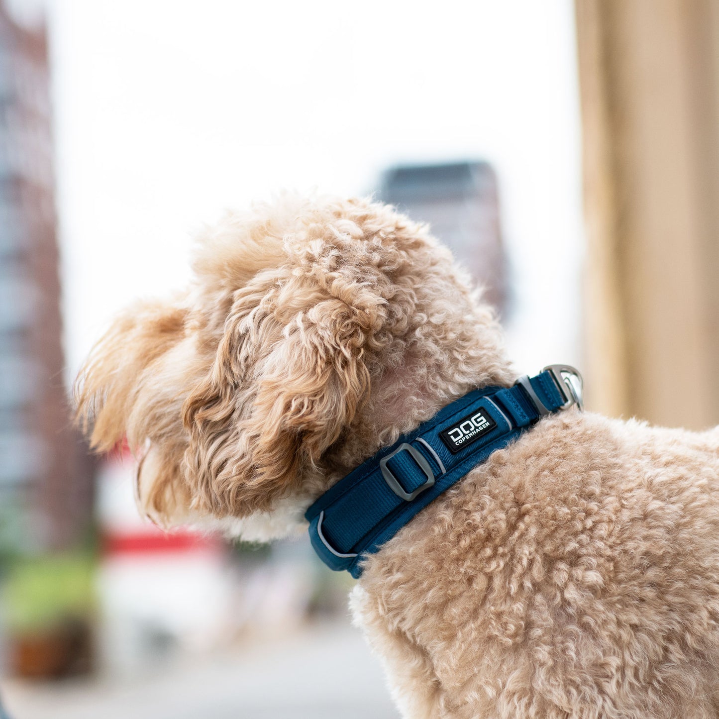 Dog Copenhagen Dog Copenhagen V3 Explorer Halsband