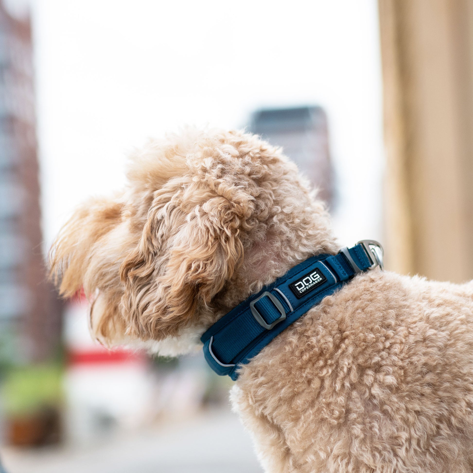 Dog Copenhagen Dog Copenhagen V3 Explorer Halsband