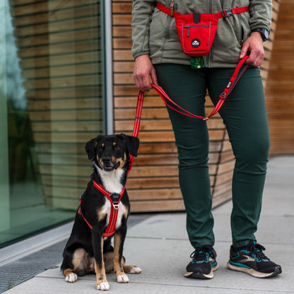 Dog Copenhagen Dog Copenhagen V3 Freestyle Hundeleine