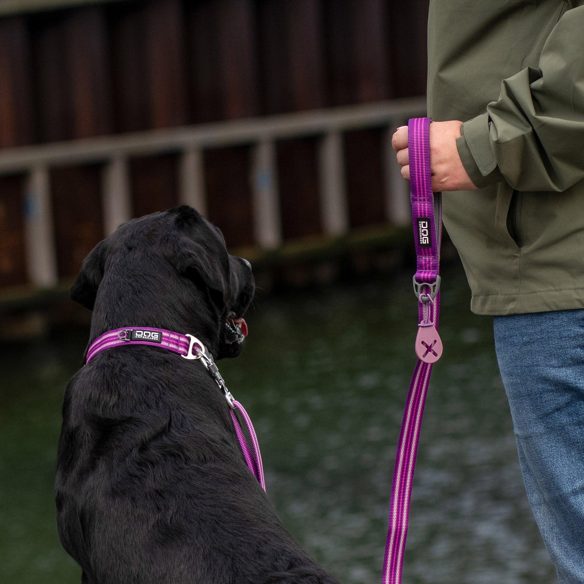 Dog Copenhagen Dog Copenhagen V3 Style Halsband