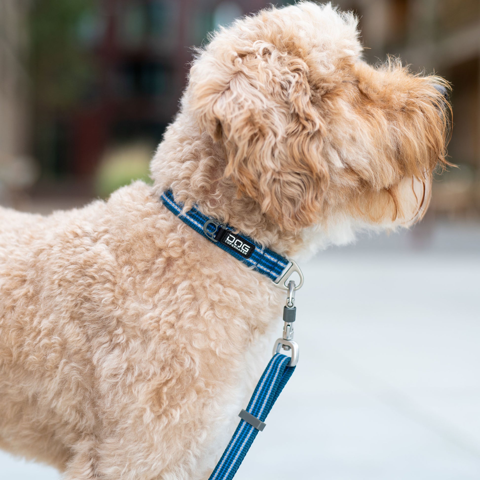 Dog Copenhagen Dog Copenhagen V3 Style Halsband