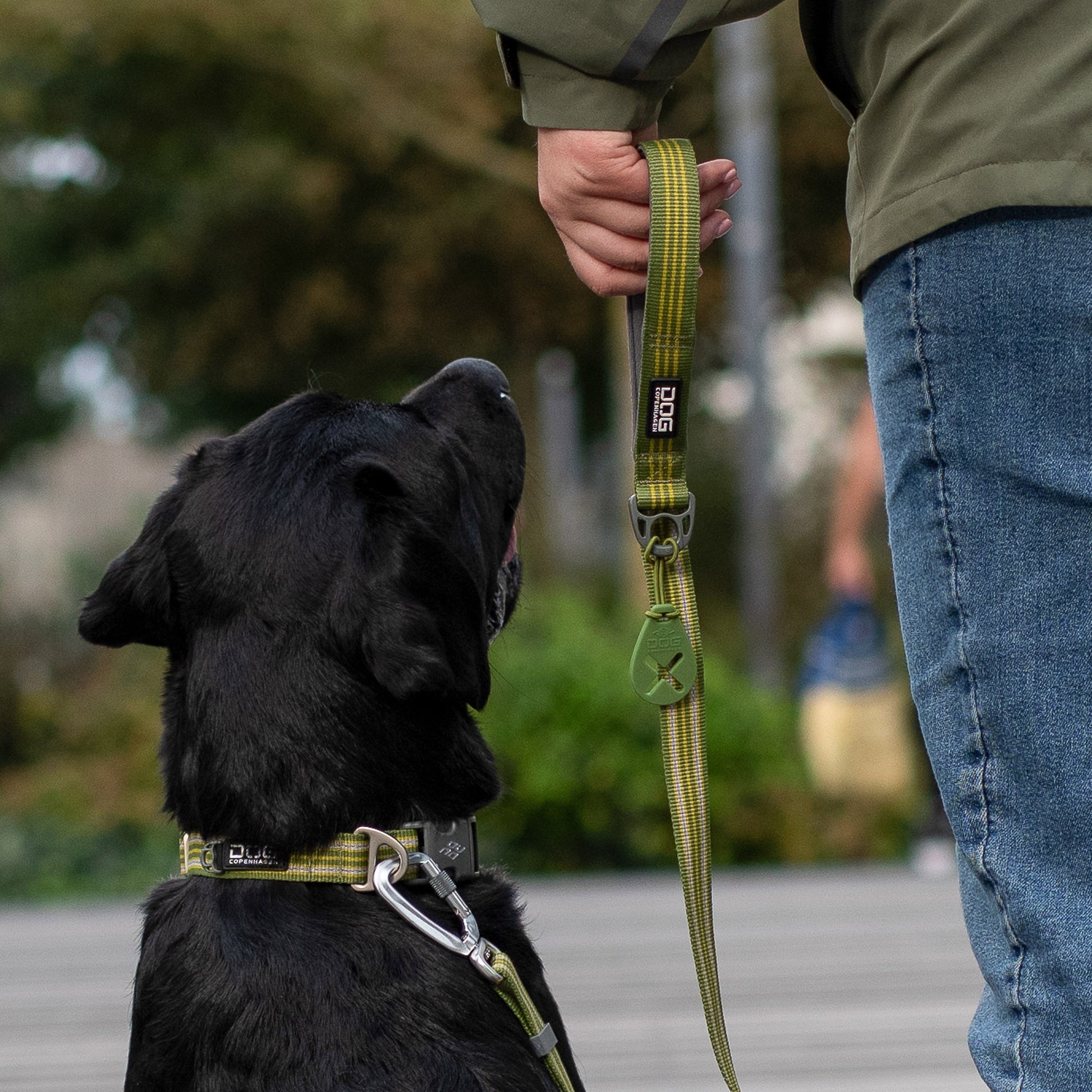 Dog Copenhagen Dog Copenhagen V3 Style Halsband