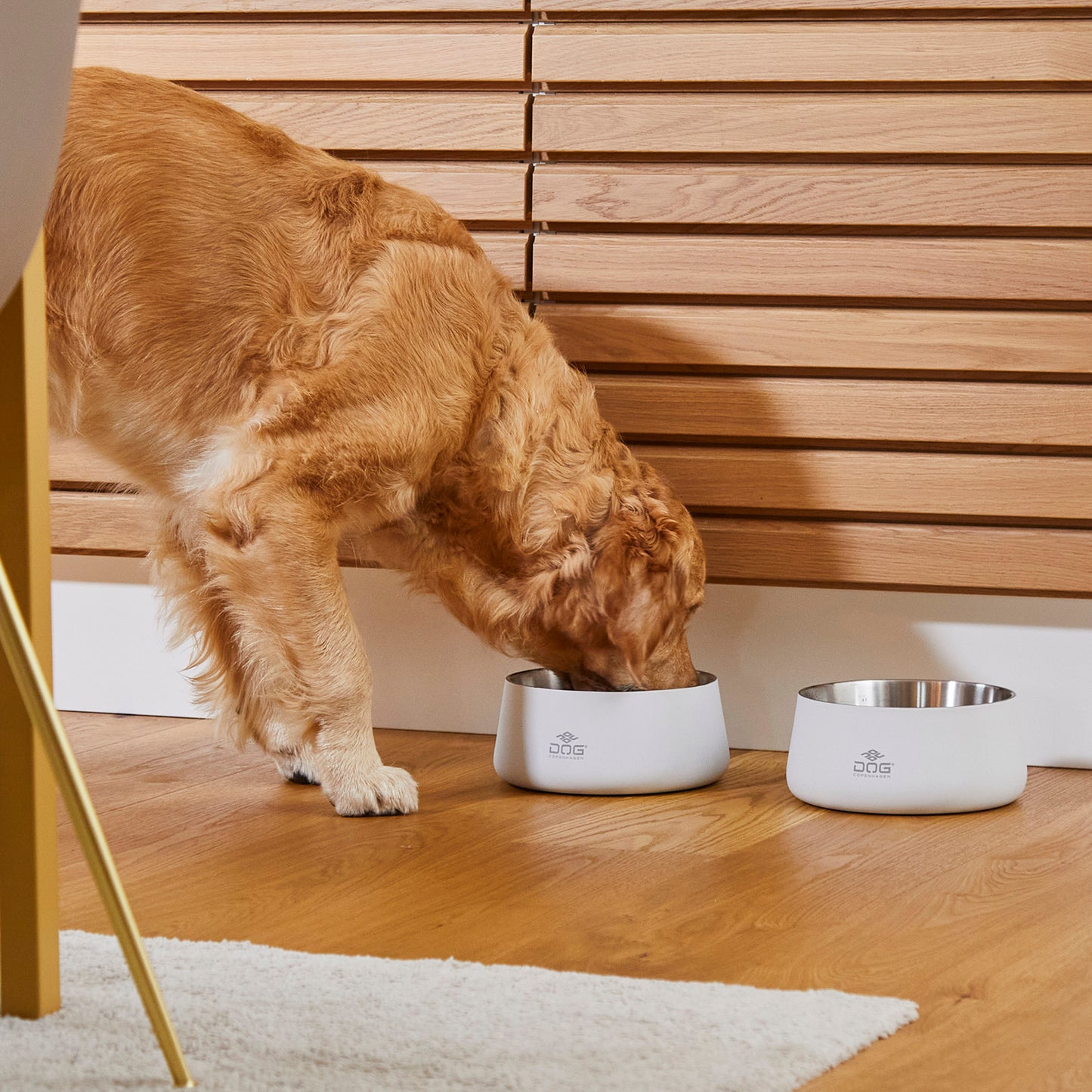 Dog Copenhagen Dog Copenhagen Vega Bowl Hundenapf